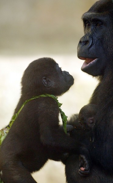 Kimya as a baby back in 2005. Photo: Getty
