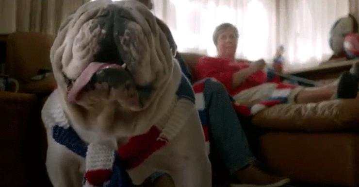 AFL-Bulldog