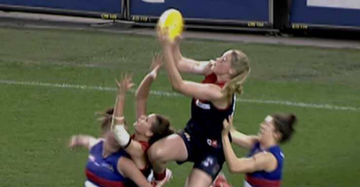 Tayla