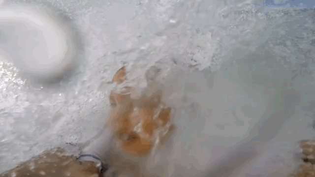 baby-first-wave