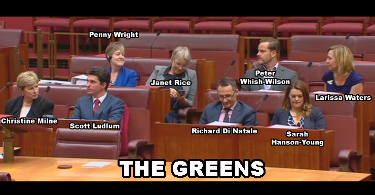 greens-no-vote