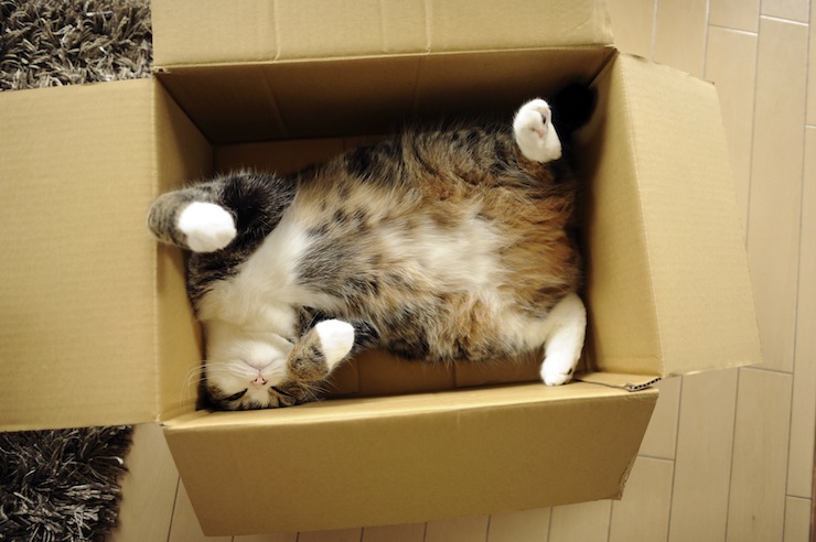 Maru