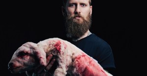fake-sheep
