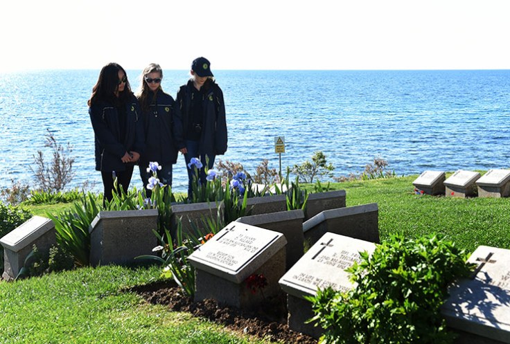 Gallipoli graves