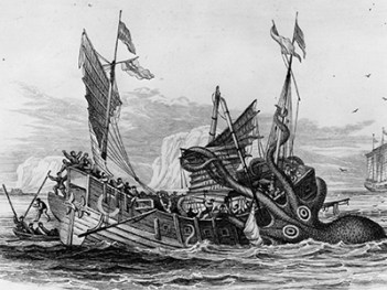 The Kraken