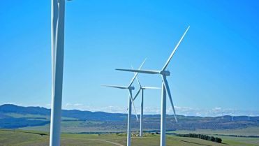wind farm