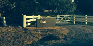 Brae began receiving rave reviews soon after its opening.