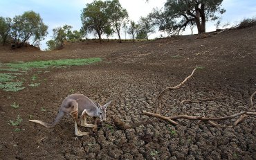 drought-qld
