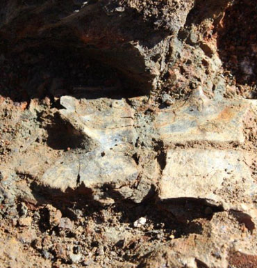 The large turtle plates were discovered about 15 metres below ground level in the oil shale mine site.
