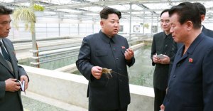 KCNA