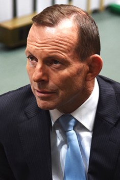 Tony Abbott parliament