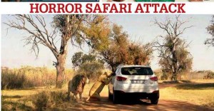 Daily Mirror CGyrypAUYAAENKl