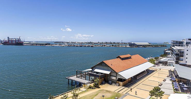 honeysuckle-drive2-110615-new-daily