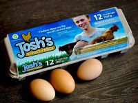 joshs-rainbow-eggs