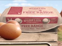 mcleans-run