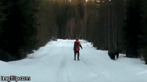 howtoscareabear
