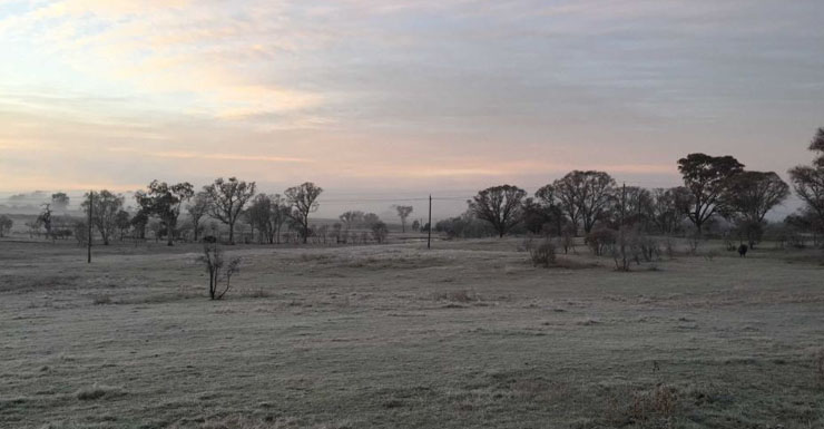 A layer of frost blanketed Canberra.