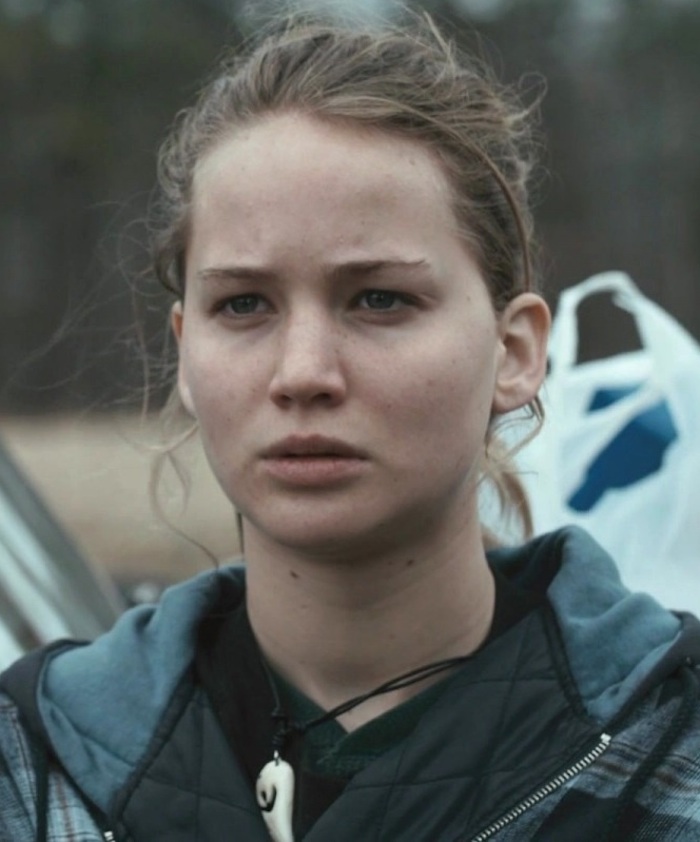2010 winter's bone