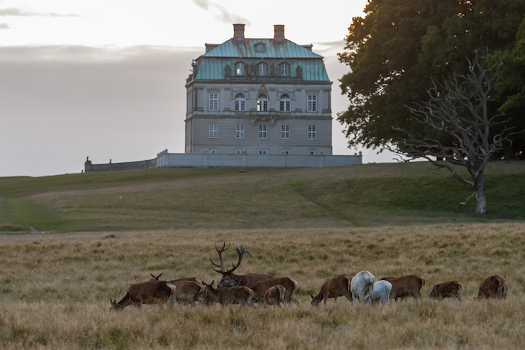 A hunting house in the hunting house at Jaegersborg Dyrehaven forest park is just a sample of the historical beauty that's on offer in Denmark. Photo: Shutterstock