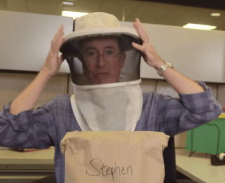 Colber starts his second video clad in a beekeeper hat. Photo: YouTube