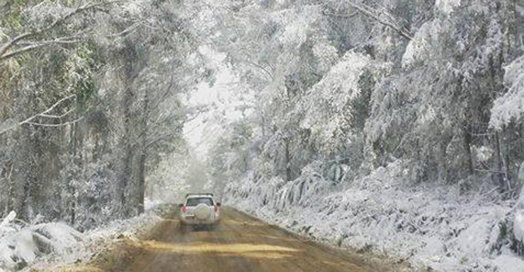A snow lined road north of Newcastle, NSW.,