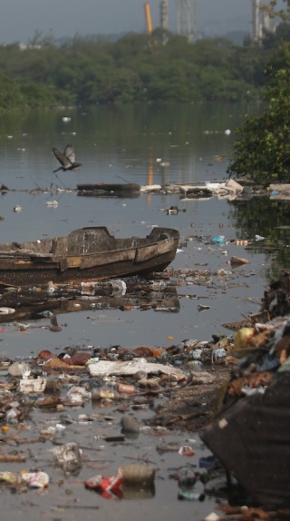 rio olympics water pollution