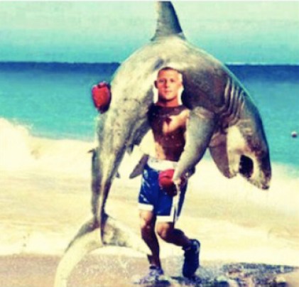 sharkmeme2