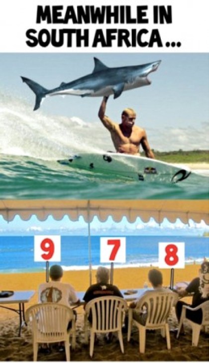 sharkmeme8