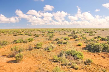 Nullarbor Plain