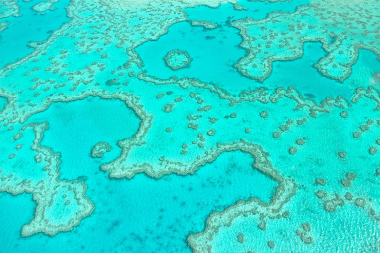 Photo: Shutterstock