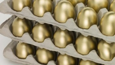 nestegg1