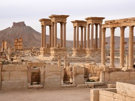 Palmyra