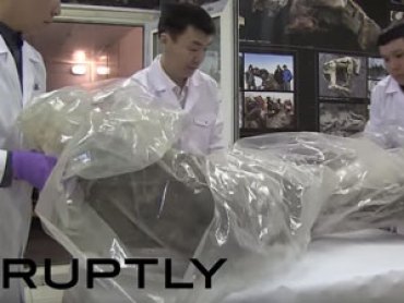 Scientists extracted DNA from the leg of a well-preserved woolly mammoth in March. Photo: YouTube