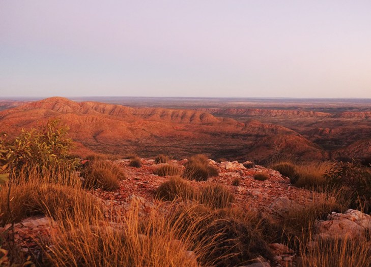 larapinta-trail
