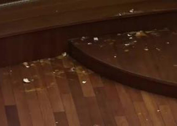 The parliament floor was left slick with yolk. Photo: YouTube