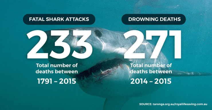 sharkdrown-250915-thenewdaily