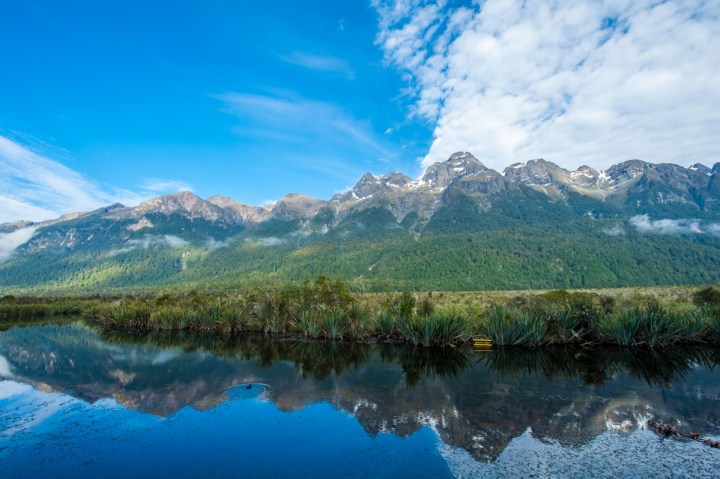 shutterstock_295815164