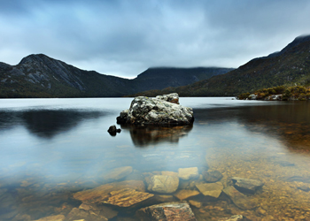 The. Photo: Shutterstock