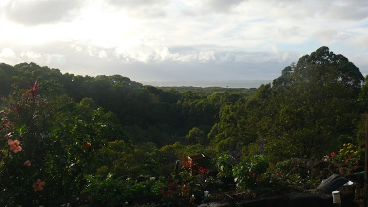 P1200054