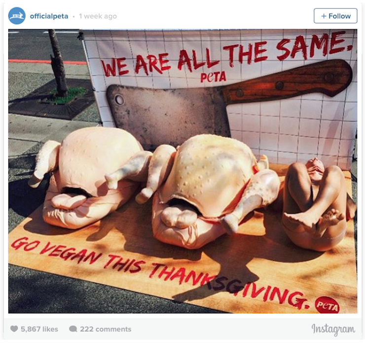 Screen Shot 2015-10-16 at 1.58.19 pm