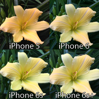 photo-comparison