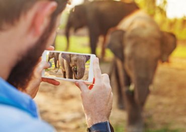 photo on camera phone