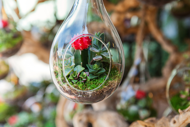 Hanging terrariums are a space-saving decorating saviour.