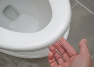 toilet seat