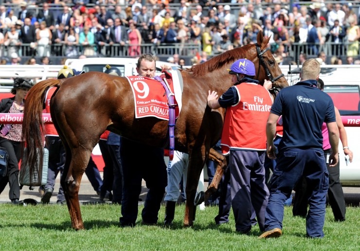 Melbourne Cup 2015