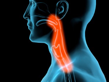 Cancer can damage the larynx (voice box). Photo: Getty