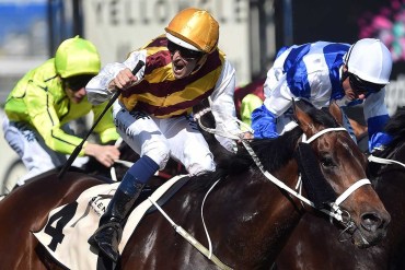 Can Turnbull Stakes winner Preferment give Chris Waller a Melbourne Cup? Photo: AAP