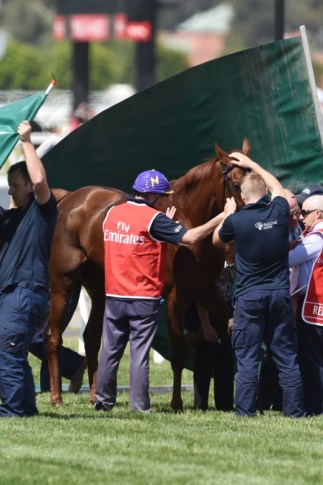 Red Cadeaux during track work in Hong Kong last year. Photo: Getty