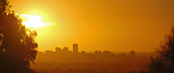 adelaide heat