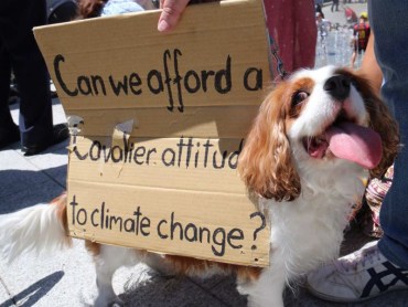 A dog joined the People's Climate rally in Adelaide.